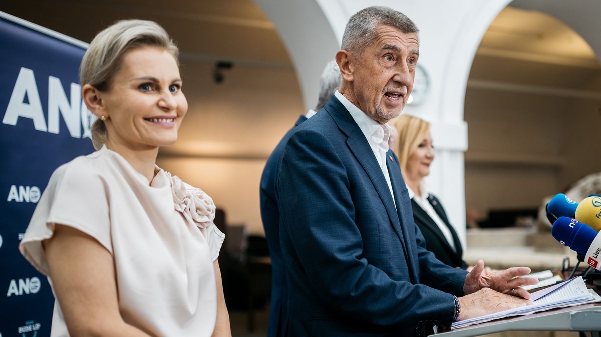 Satisfakce pro Okamuru a méně funkcí? Jak může vypadat nová Sněmovna